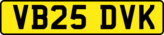 VB25DVK