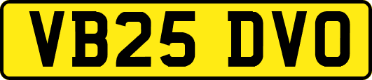 VB25DVO