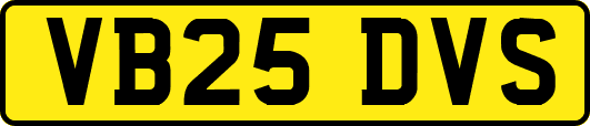 VB25DVS