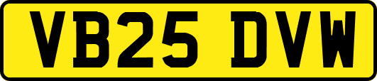 VB25DVW
