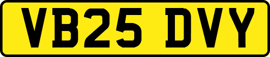 VB25DVY