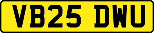 VB25DWU