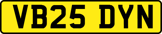 VB25DYN