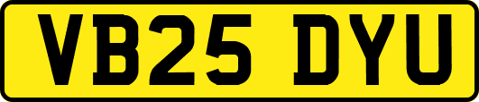 VB25DYU