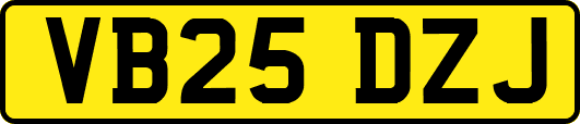 VB25DZJ