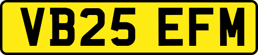VB25EFM