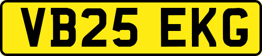 VB25EKG