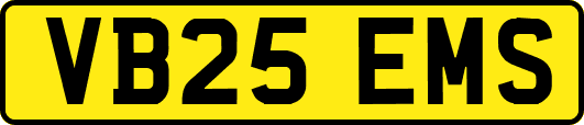 VB25EMS