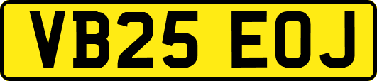 VB25EOJ