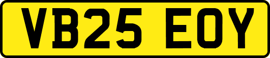 VB25EOY