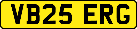 VB25ERG