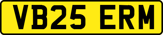 VB25ERM