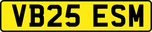VB25ESM