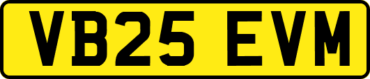 VB25EVM