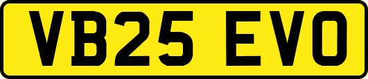 VB25EVO
