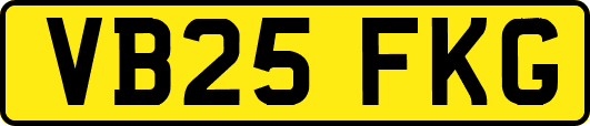 VB25FKG