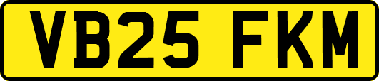 VB25FKM