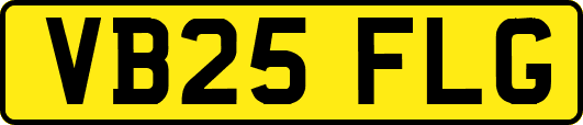 VB25FLG