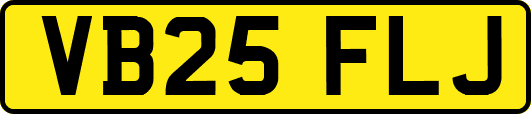 VB25FLJ