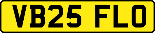 VB25FLO
