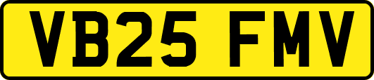 VB25FMV