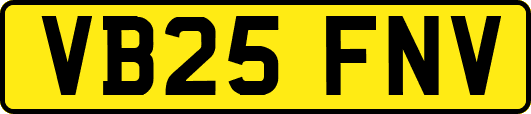 VB25FNV