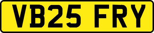 VB25FRY