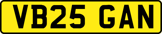 VB25GAN
