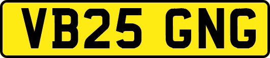 VB25GNG