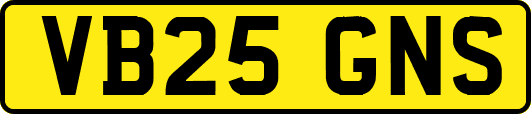 VB25GNS