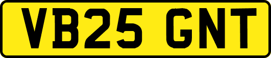 VB25GNT