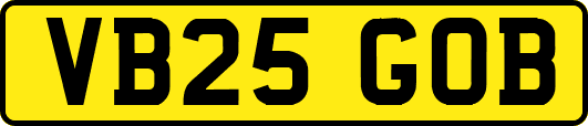 VB25GOB