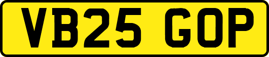VB25GOP