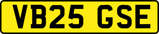 VB25GSE
