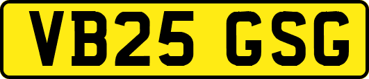 VB25GSG