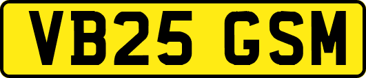 VB25GSM