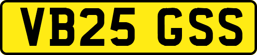 VB25GSS
