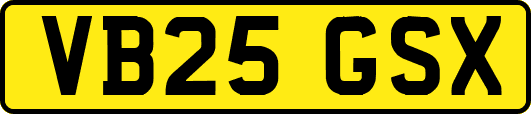 VB25GSX