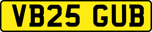 VB25GUB