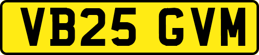 VB25GVM