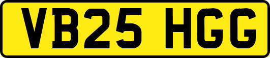 VB25HGG