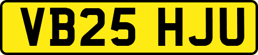 VB25HJU