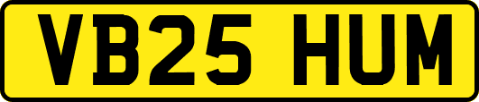 VB25HUM