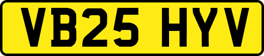 VB25HYV