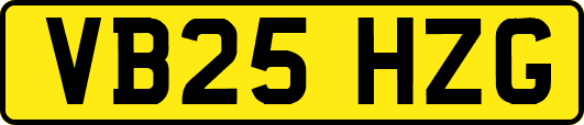 VB25HZG