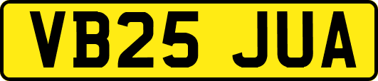 VB25JUA