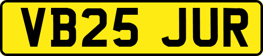 VB25JUR