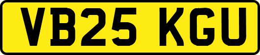 VB25KGU