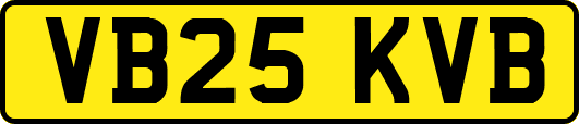 VB25KVB