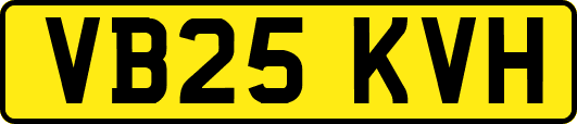 VB25KVH